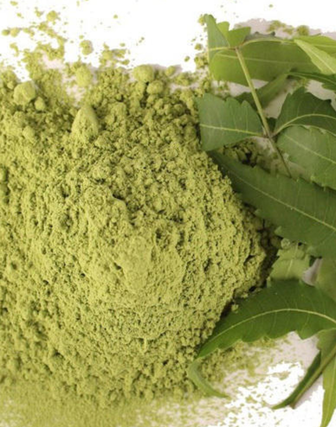 Neem Powder - Neem Leaves powd..